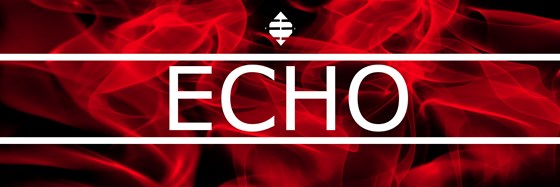 Logotypes: Team EveLo